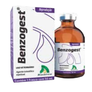 Benzogest