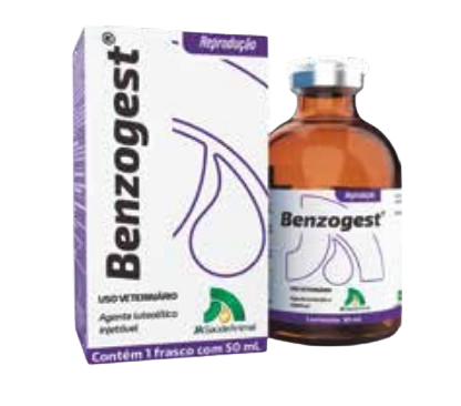 Benzogest