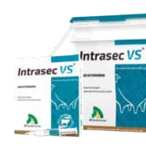 Intrasec VS