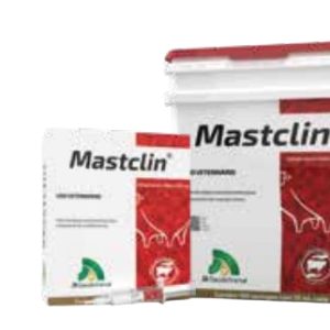 Mastclin